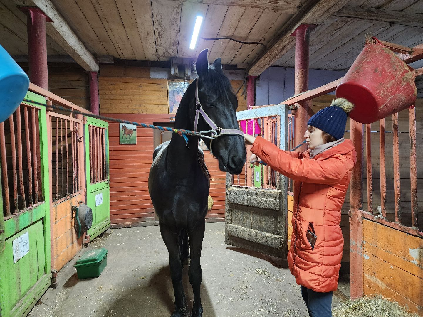 пушкино, конный клуб, активное долголетие, экскурсии,