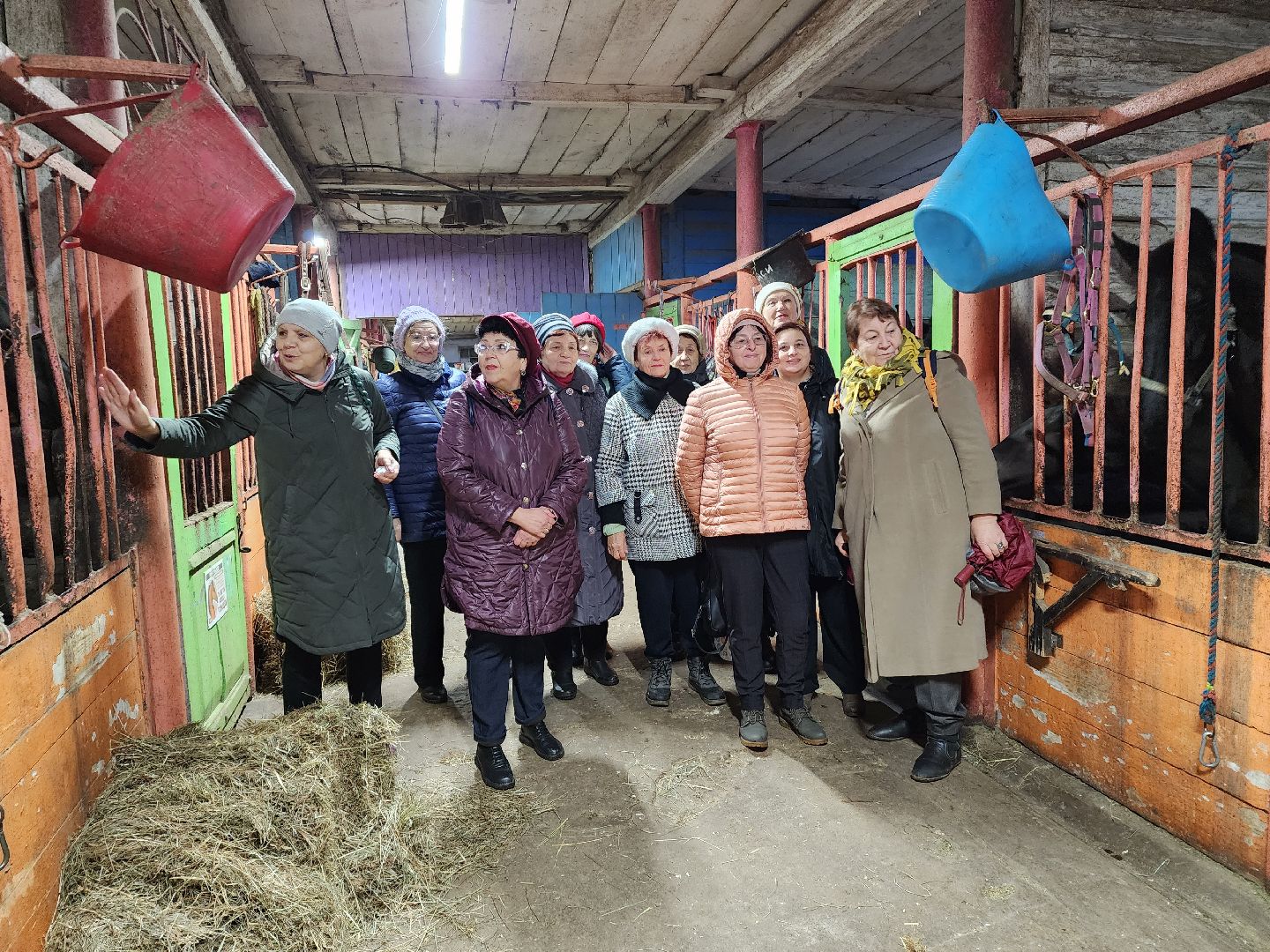 пушкино, конный клуб, активное долголетие, экскурсии,