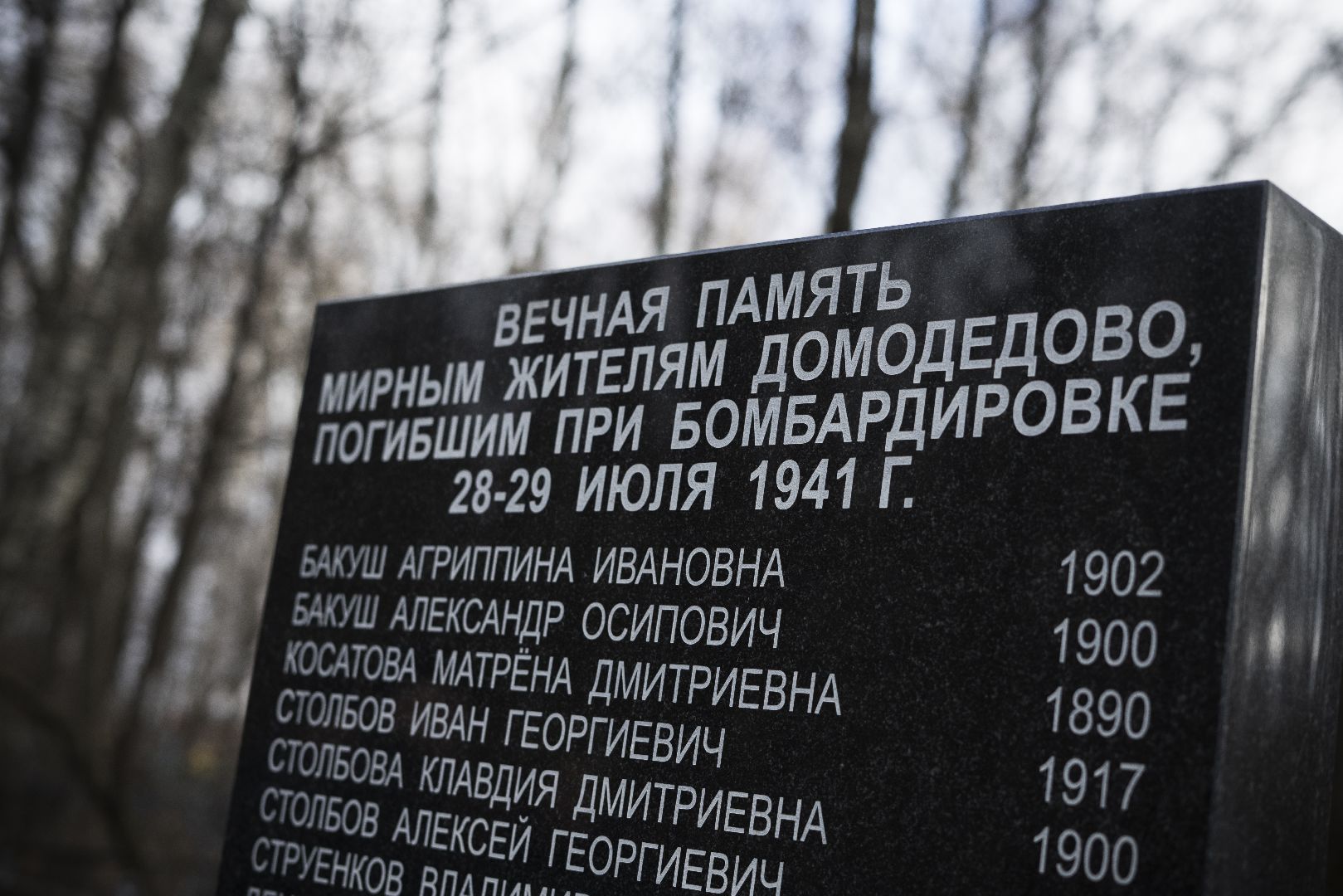 митинг, память погибшим, Великая Отечественная война, Домодедово,