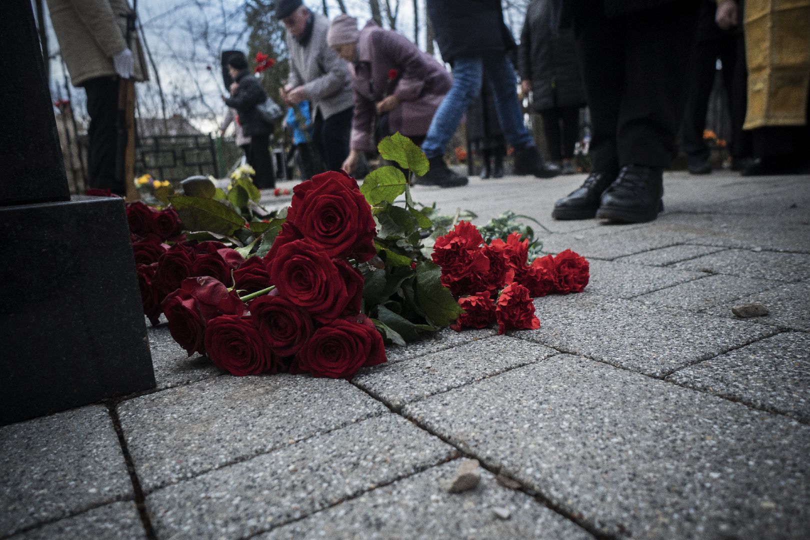 митинг, память погибшим, Великая Отечественная война, Домодедово,