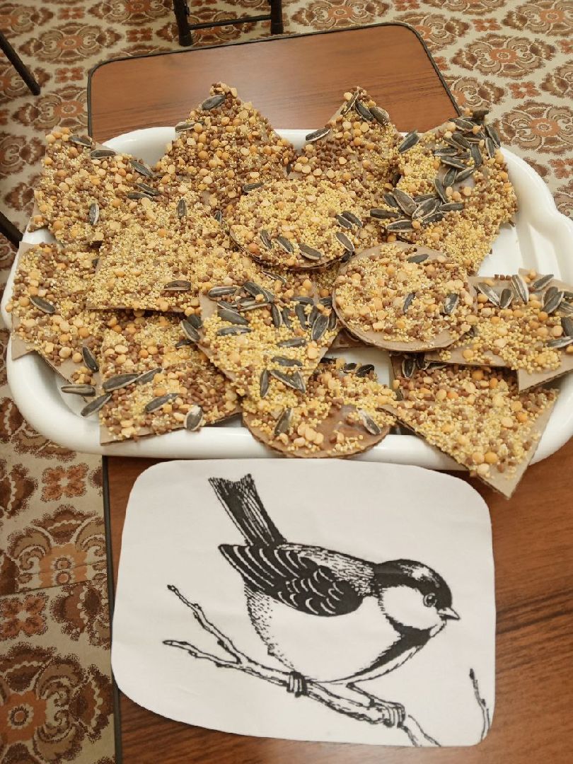 пушкино, птицы, кормление птиц, детсад,