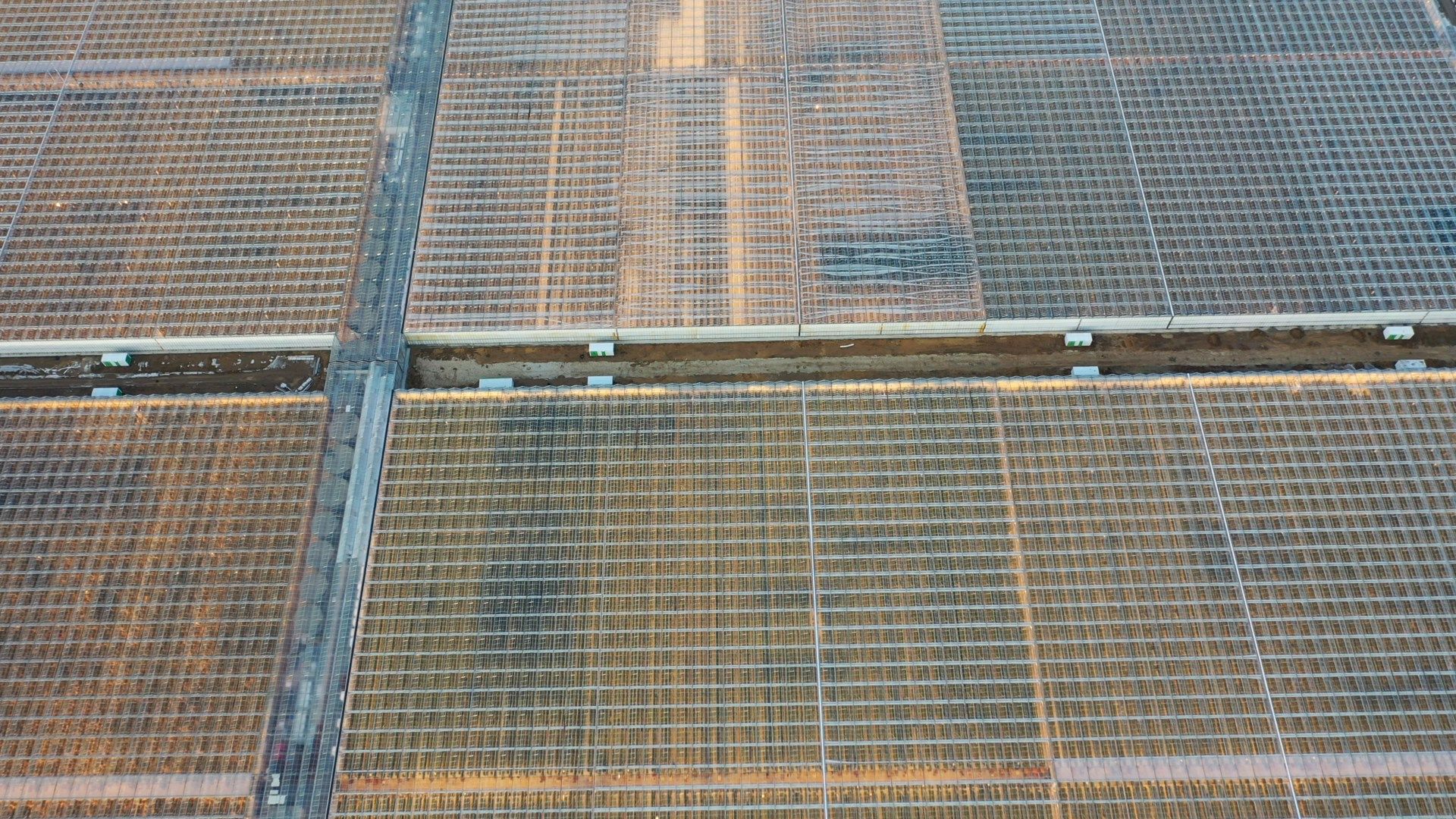 видео с коптера, воскресенск, урожай, видео с коптера,