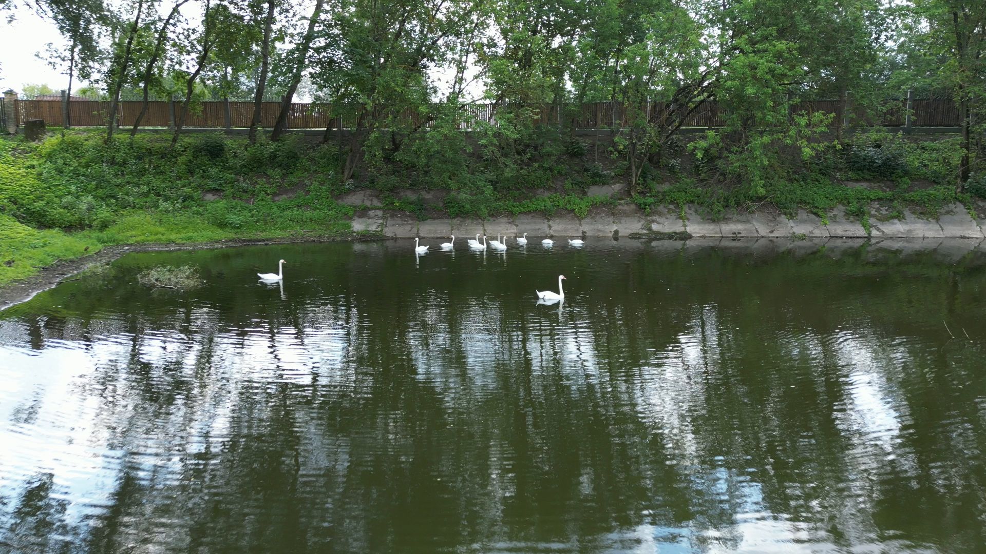 видео с коптера, лосино-петровский, усадьба, архитектура,
