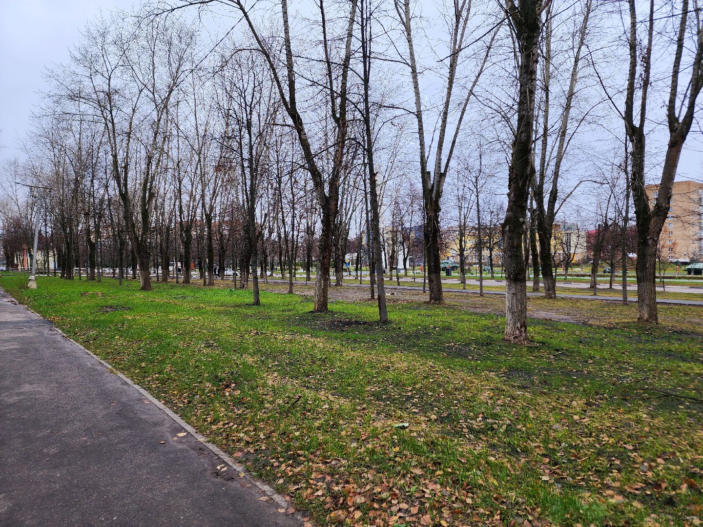 ступино, благоустройство, пешеходная зона,