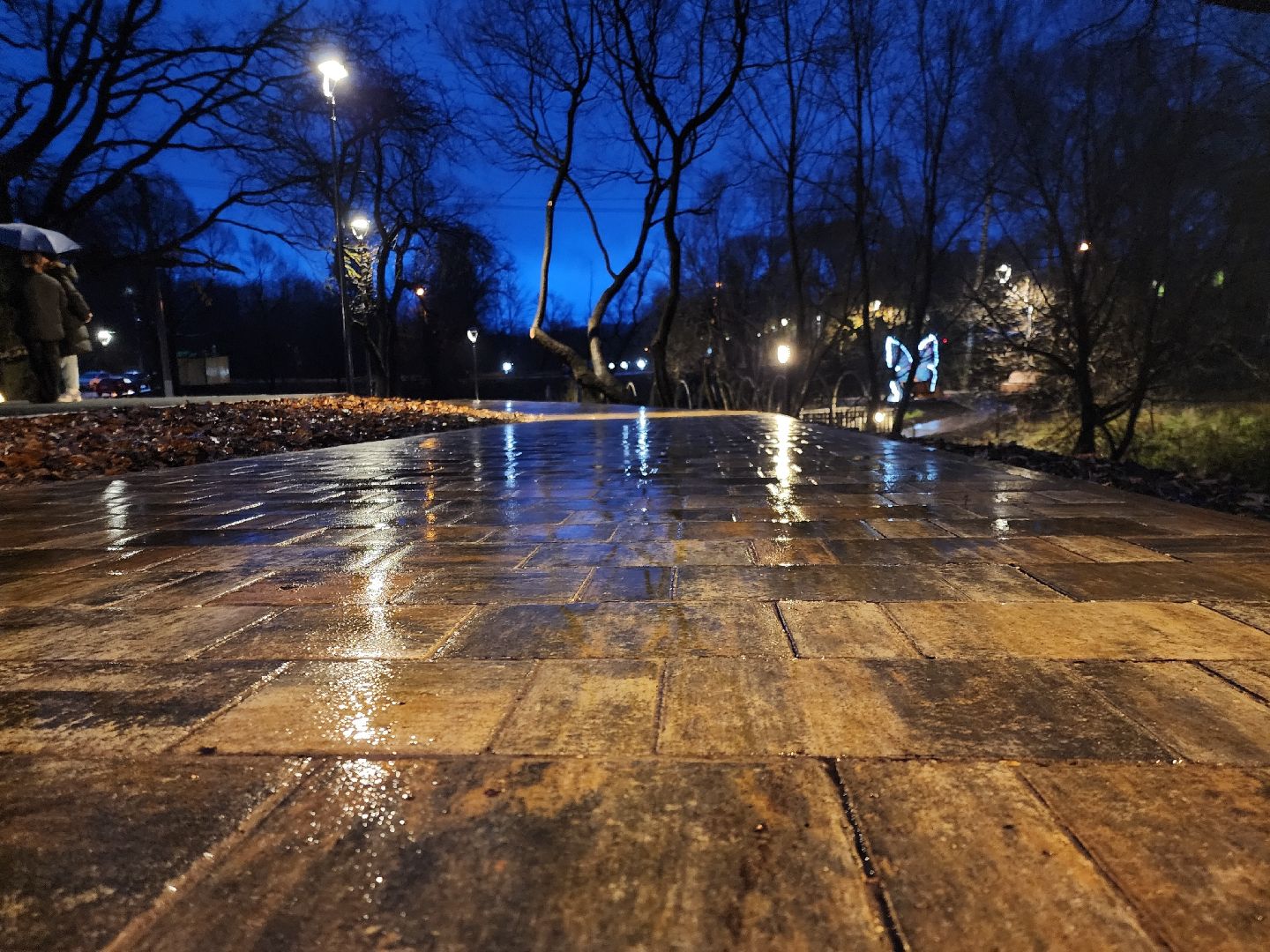 Парк,парки подмосковья, лукоморье, руза, рузский городской округ, московская область, подмосковье,