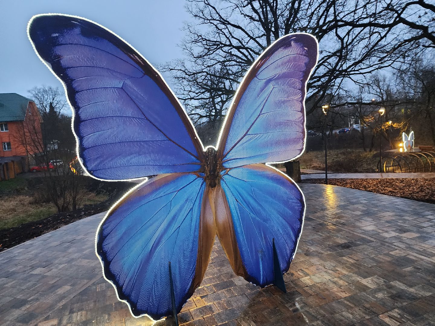 Парк,парки подмосковья, лукоморье, руза, рузский городской округ, московская область, подмосковье,