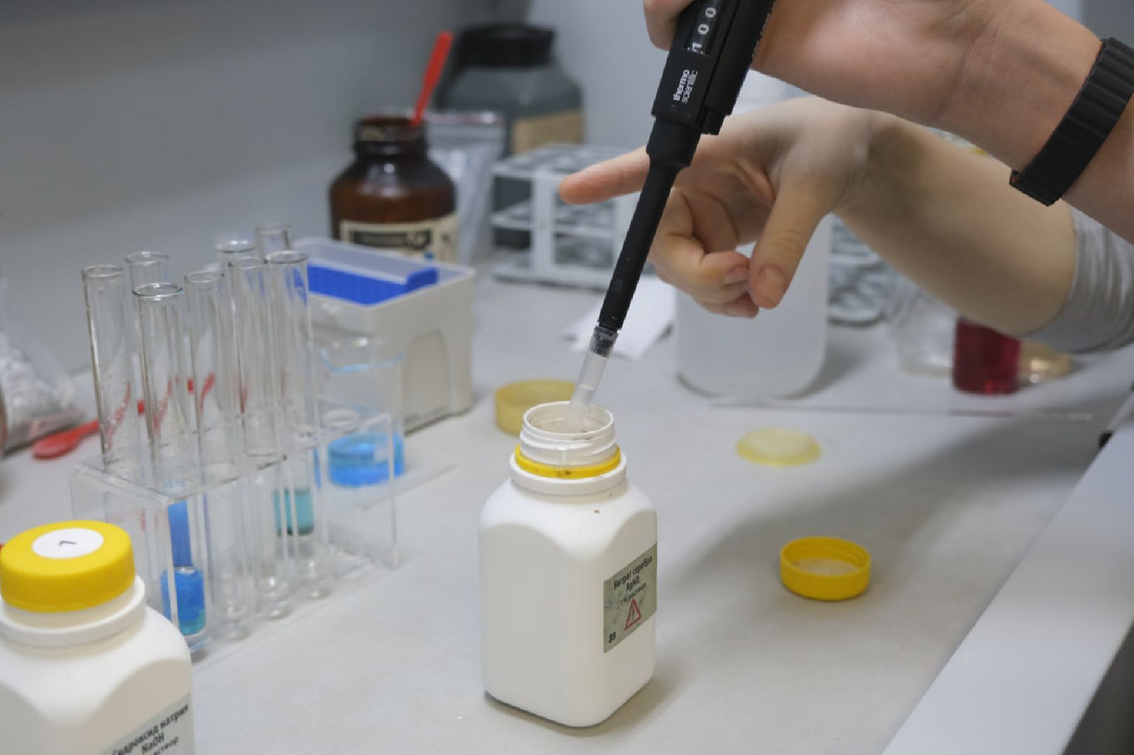 пущино, химия, образование,