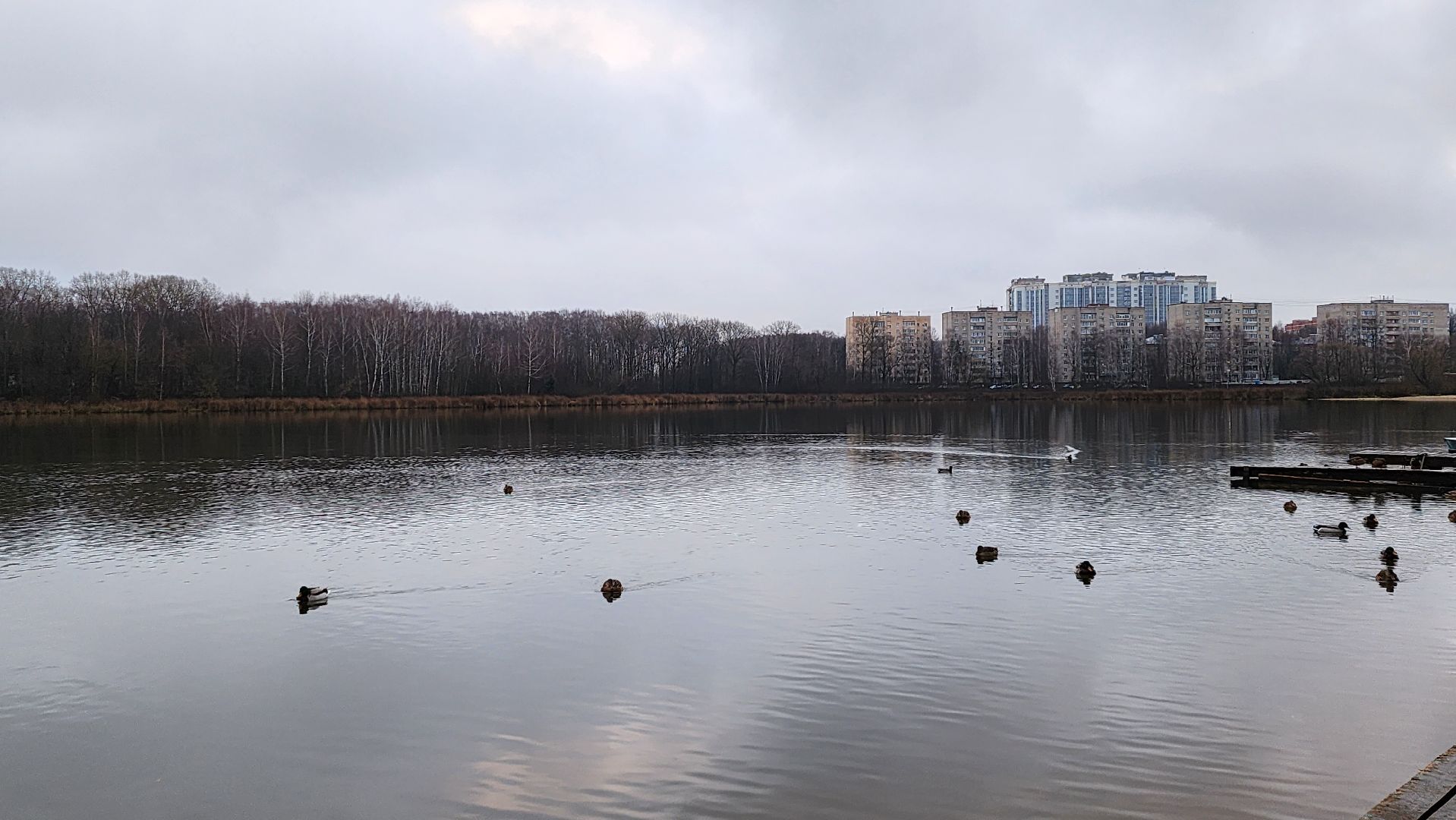 солнечногорск, экология, озеро Сенеж, рыба, зарыбление,