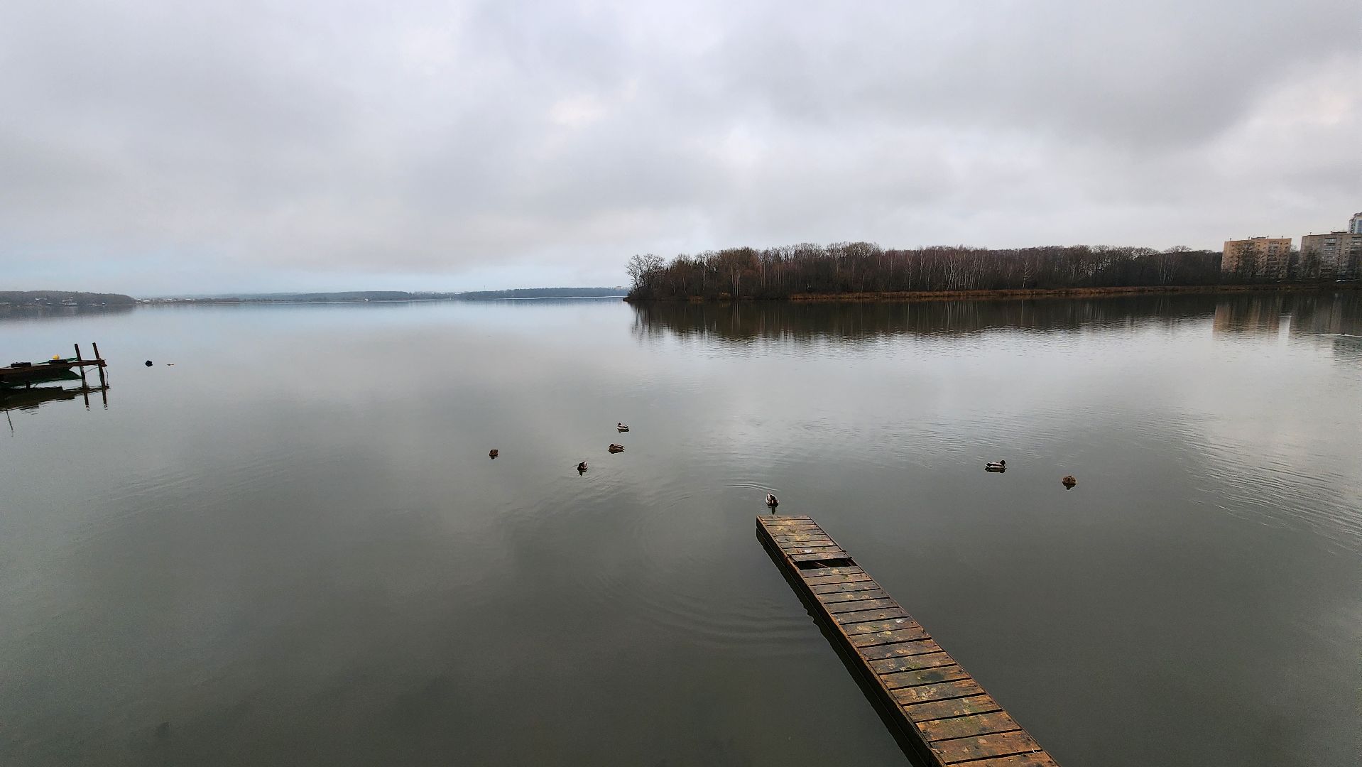 солнечногорск, экология, озеро Сенеж, рыба, зарыбление,