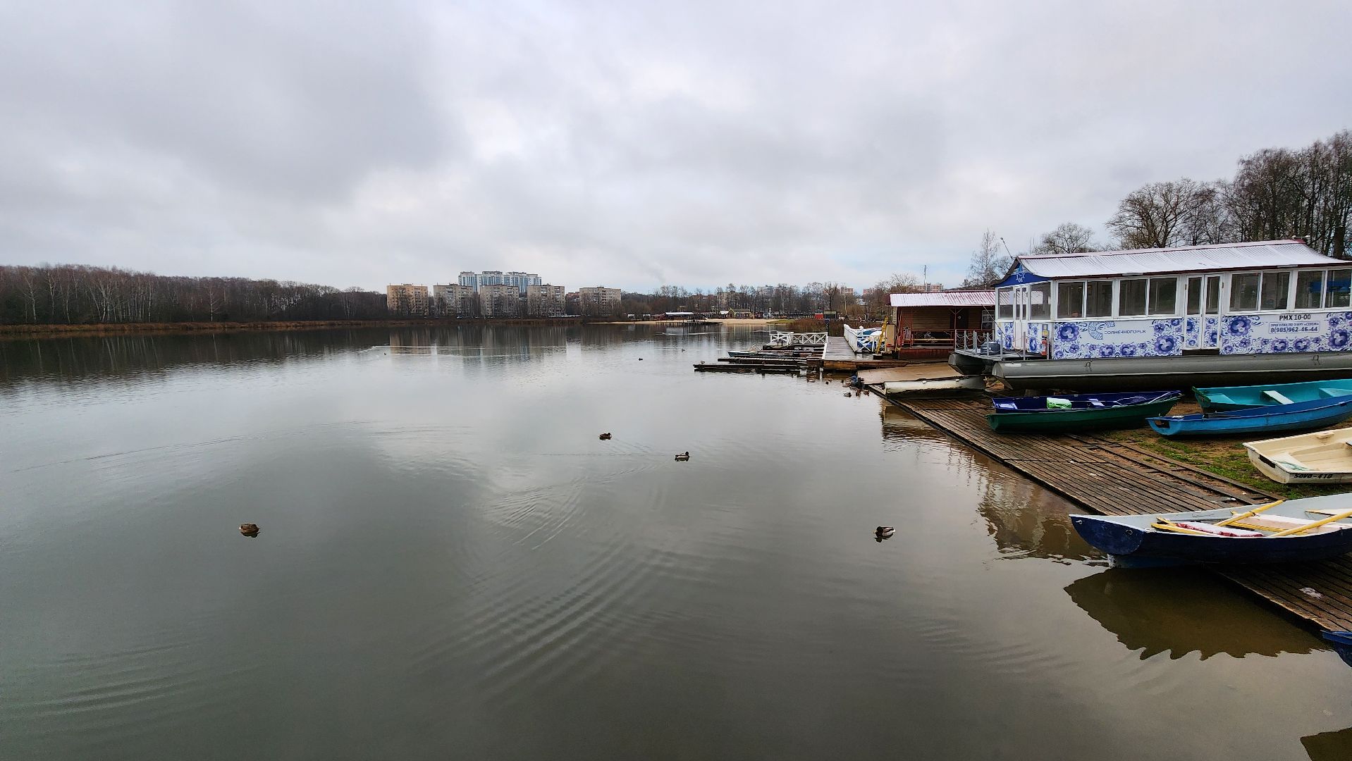 солнечногорск, экология, озеро Сенеж, рыба, зарыбление,