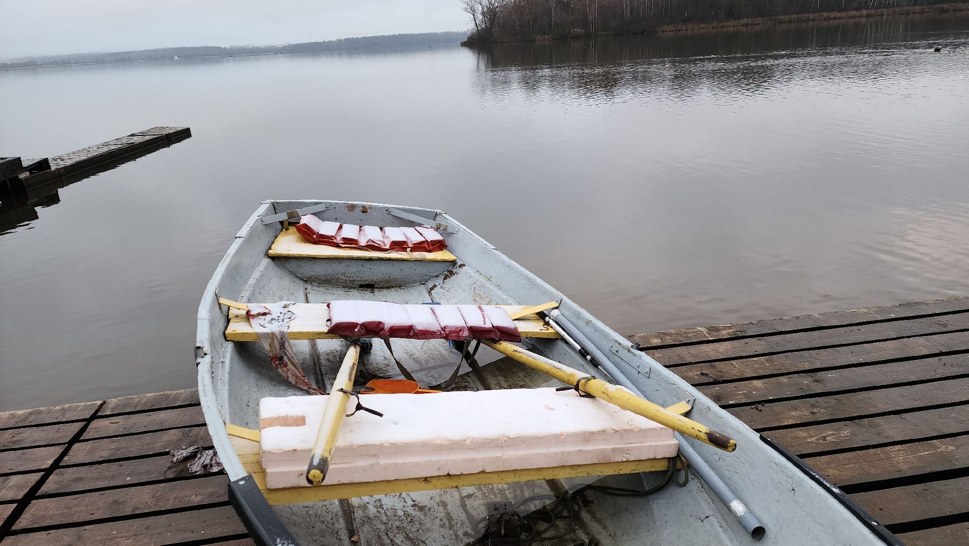 солнечногорск, экология, озеро Сенеж, рыба, зарыбление,
