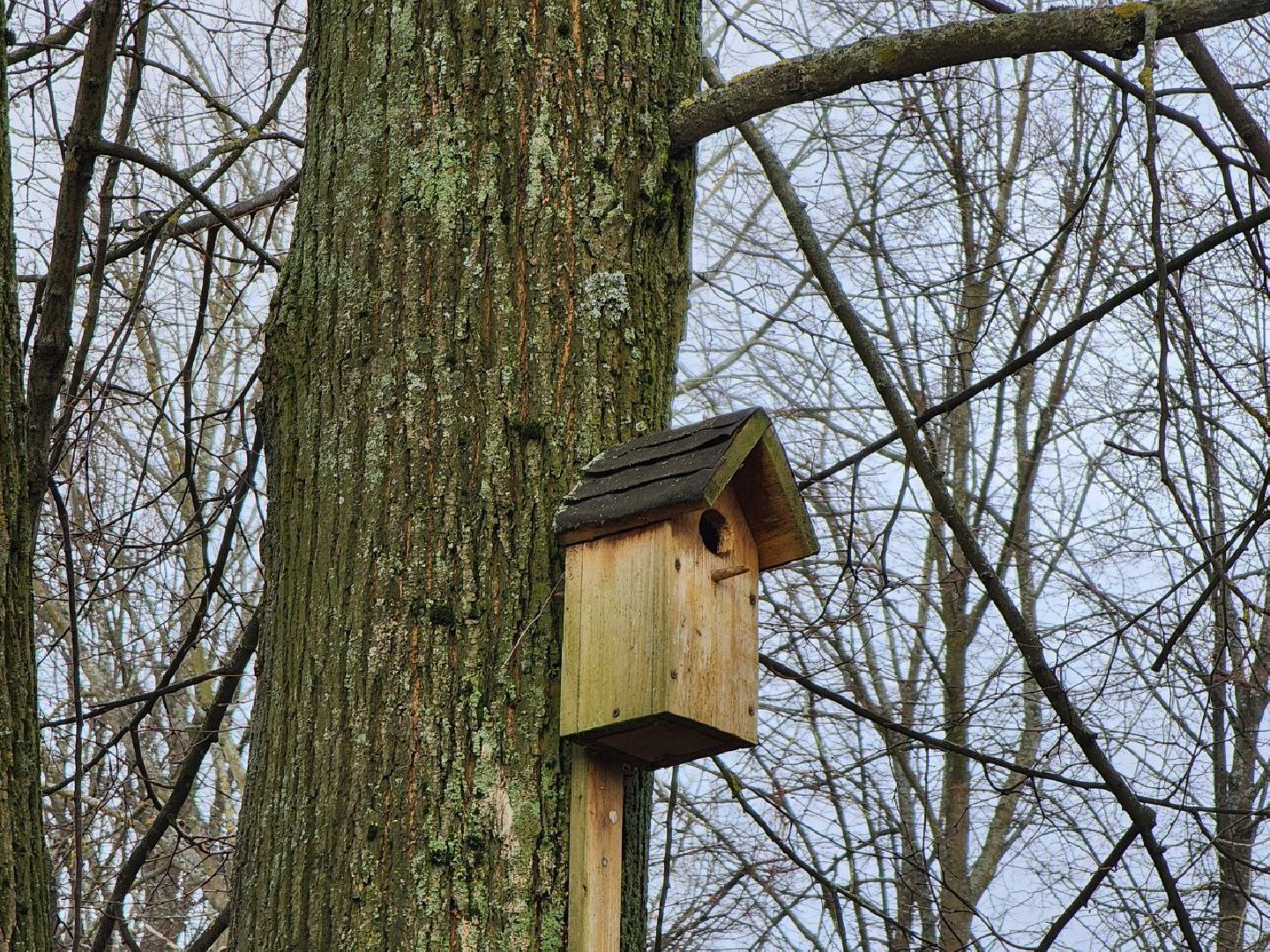 можайск, можайский городской округ, подмосковье, школа, капитальный ремонт, здание, школьники, президентский проект, образование,