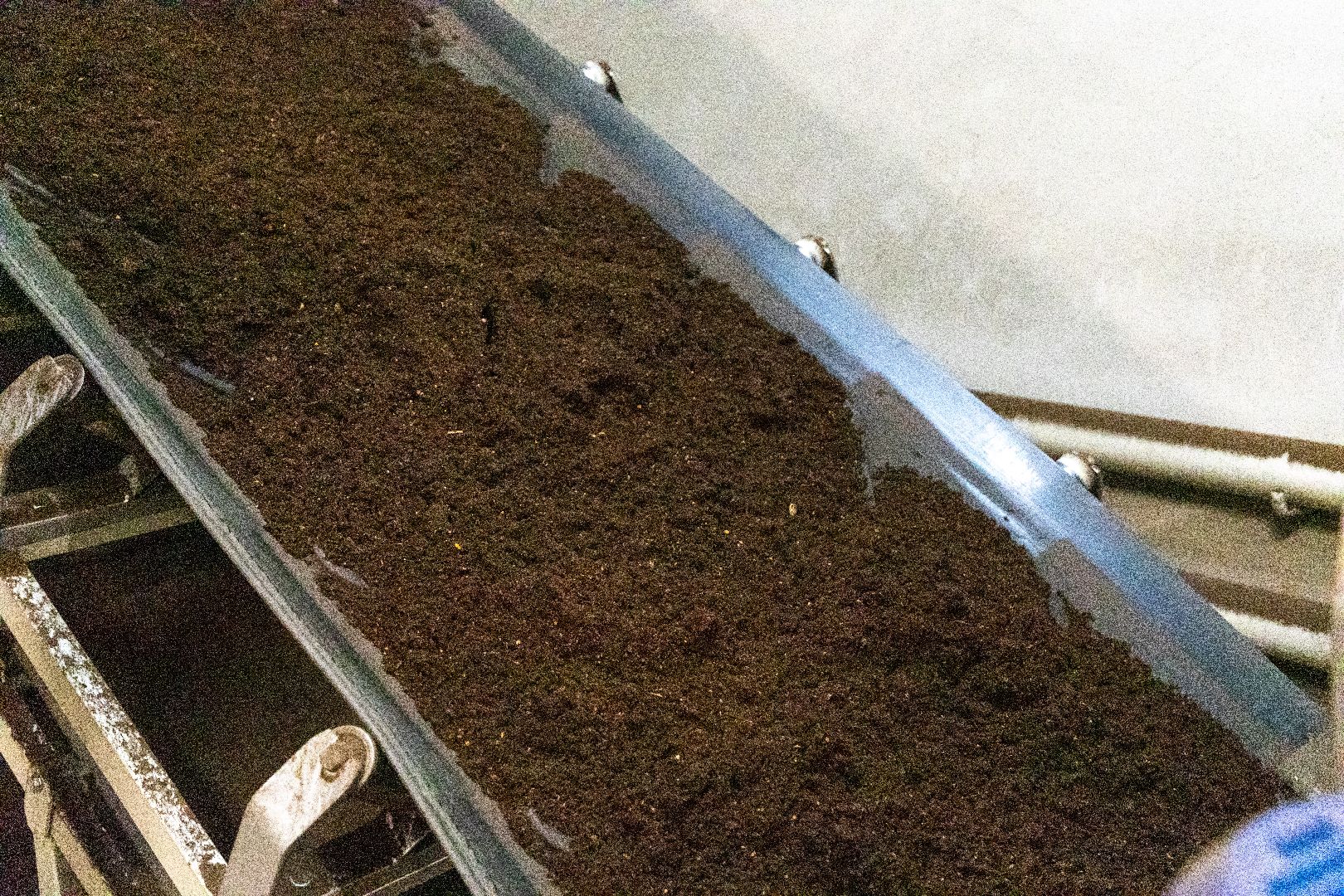 лыткарино, экономика, садоводство, импортозамещение, поддержка предпринимателей,