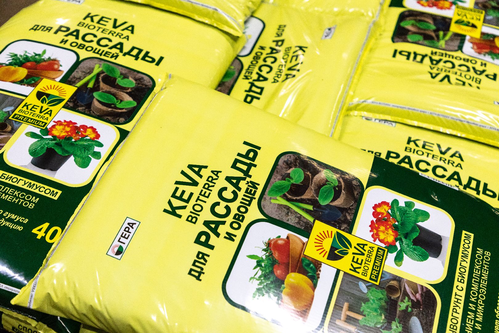 лыткарино, экономика, садоводство, импортозамещение, поддержка предпринимателей,