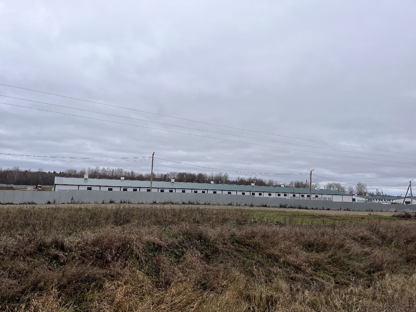 Шаховская, Птицекомплекс, предприятие, строительство, курицы, Ромашино,