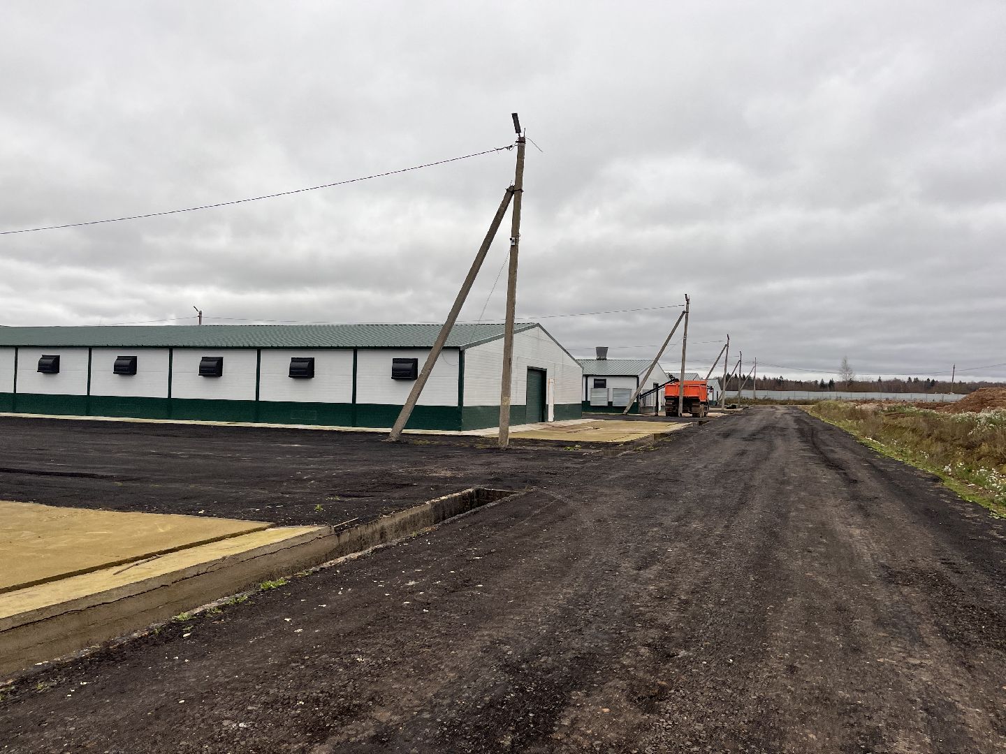 Шаховская, Птицекомплекс, предприятие, строительство, курицы, Ромашино,