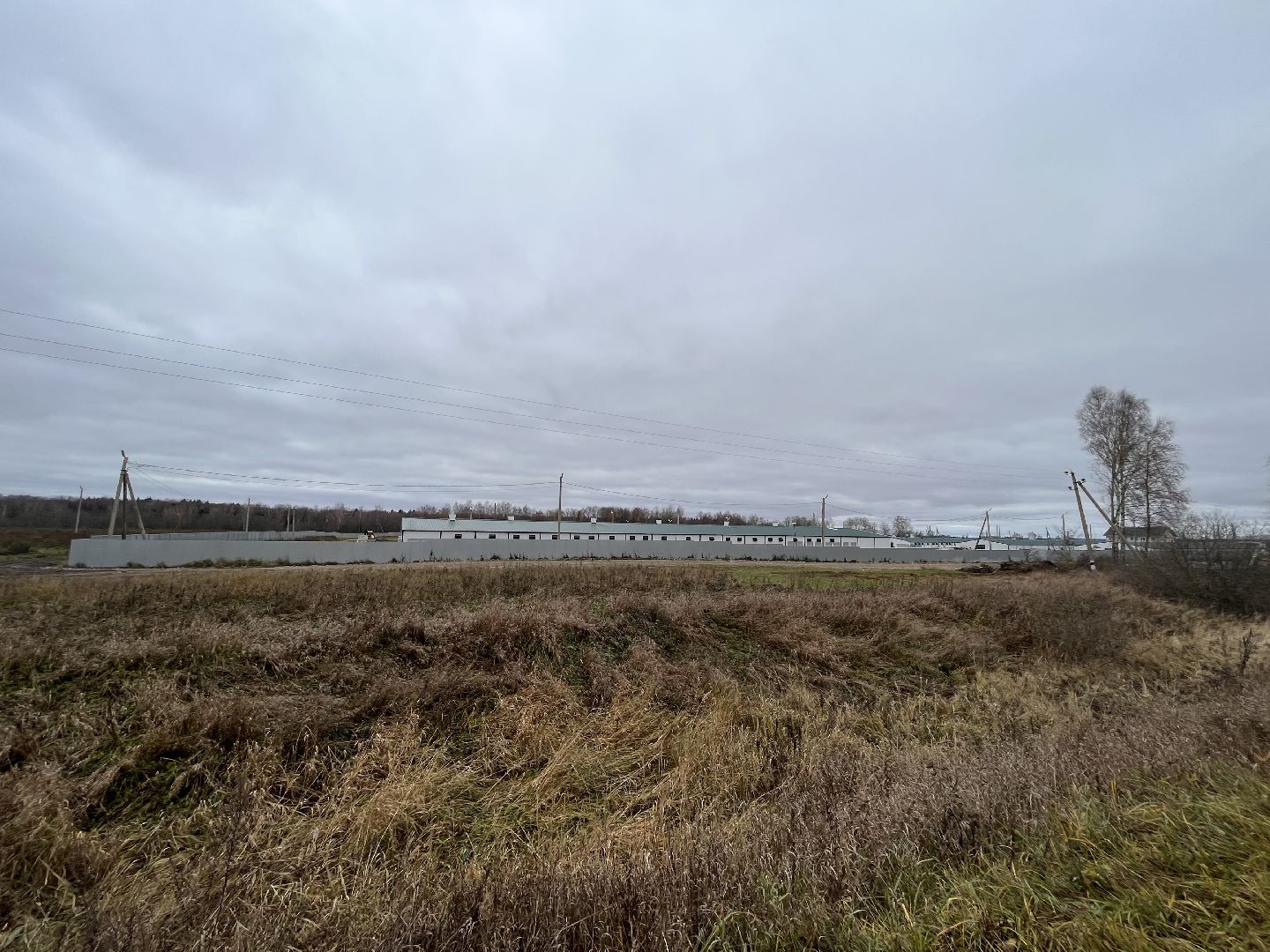 Шаховская, Птицекомплекс, предприятие, строительство, курицы, Ромашино,