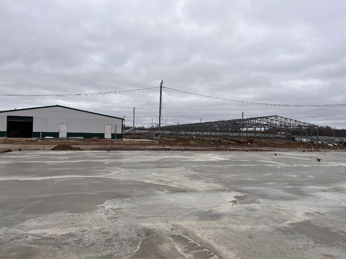 Шаховская, Птицекомплекс, предприятие, строительство, курицы, Ромашино,