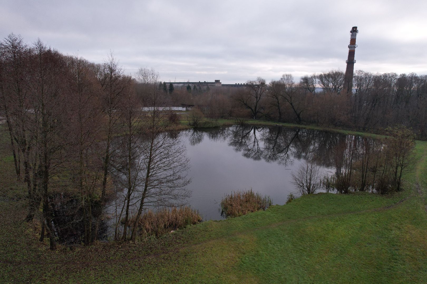 видео с коптера, дубки, озеры, парк,