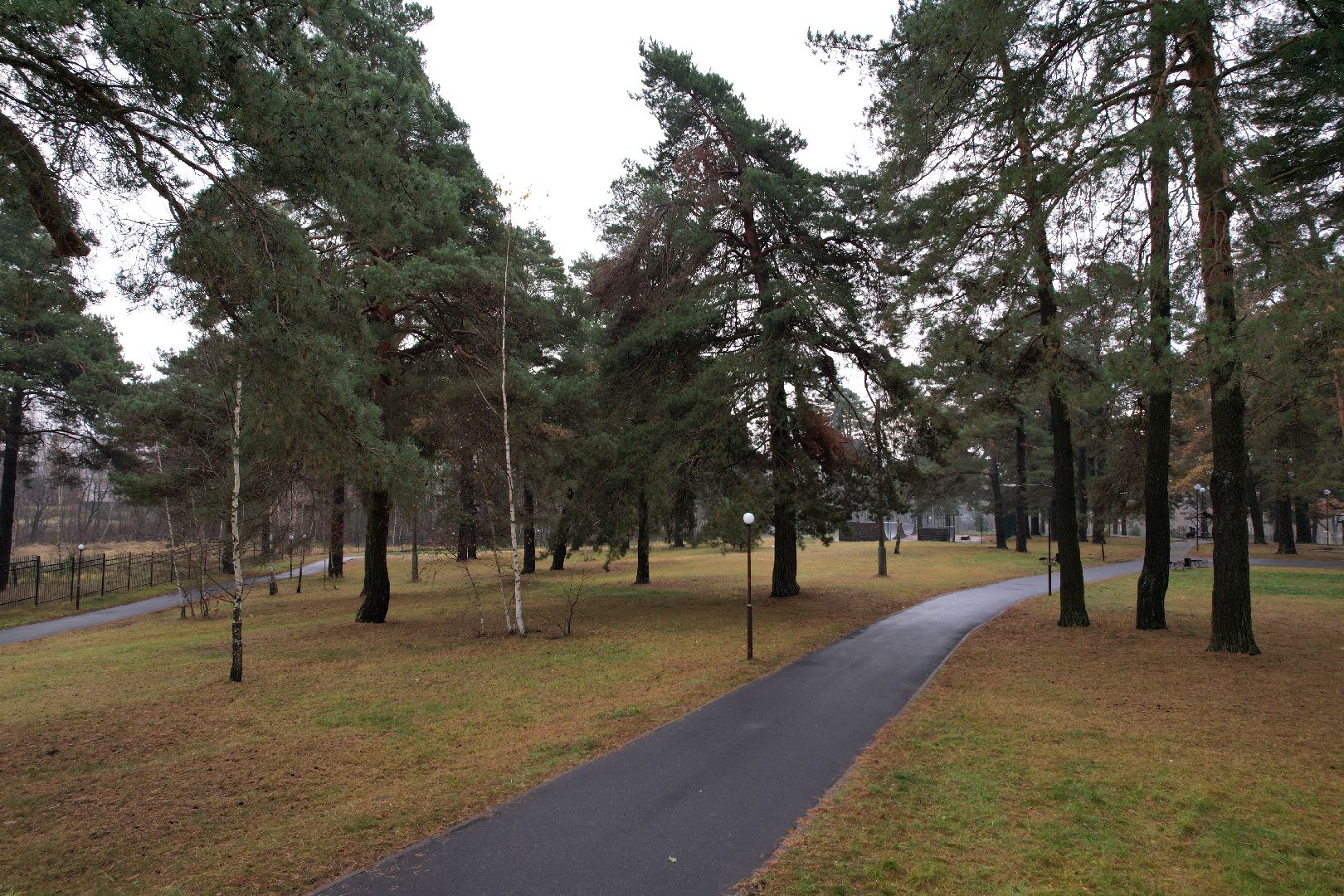 видео с коптера, дубки, озеры, парк,