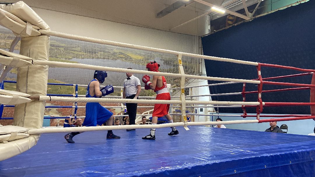 Волоколамск, спорт, бокс, юноши, спортсмены, первенство, соревнования,