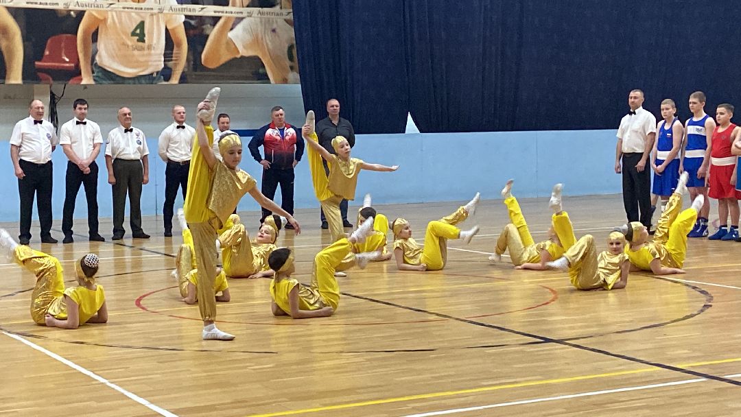 Волоколамск, спорт, бокс, юноши, спортсмены, первенство, соревнования,