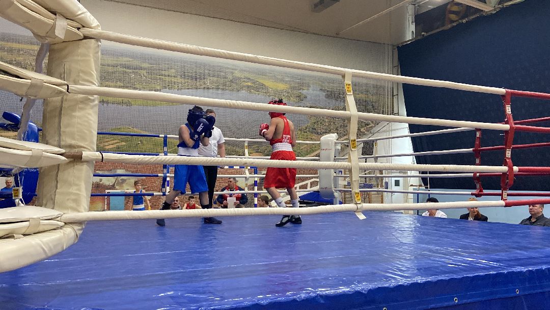Волоколамск, спорт, бокс, юноши, спортсмены, первенство, соревнования,