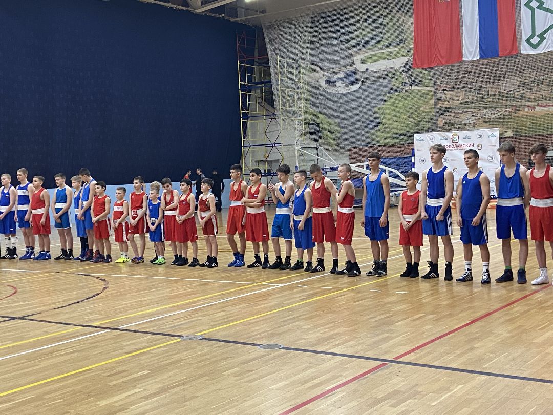 Волоколамск, спорт, бокс, юноши, спортсмены, первенство, соревнования,
