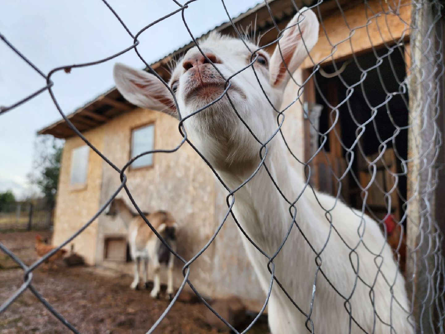 можайск, можайский городской округ, подмосковье, многодетная семья, многодетный отец, дети, воспитание детей,