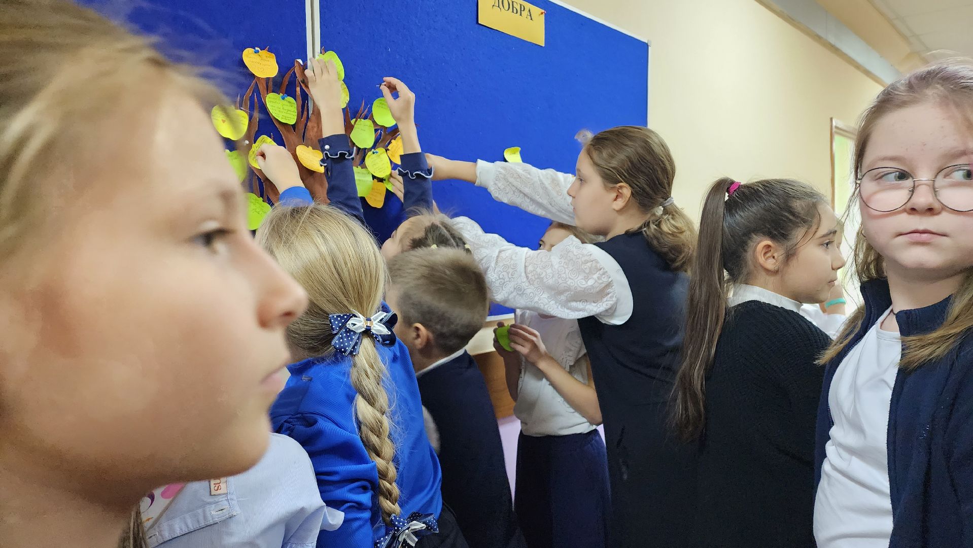 подмосковье, городской округ пушкинский, Ивантеевка, образование, День толерантности,