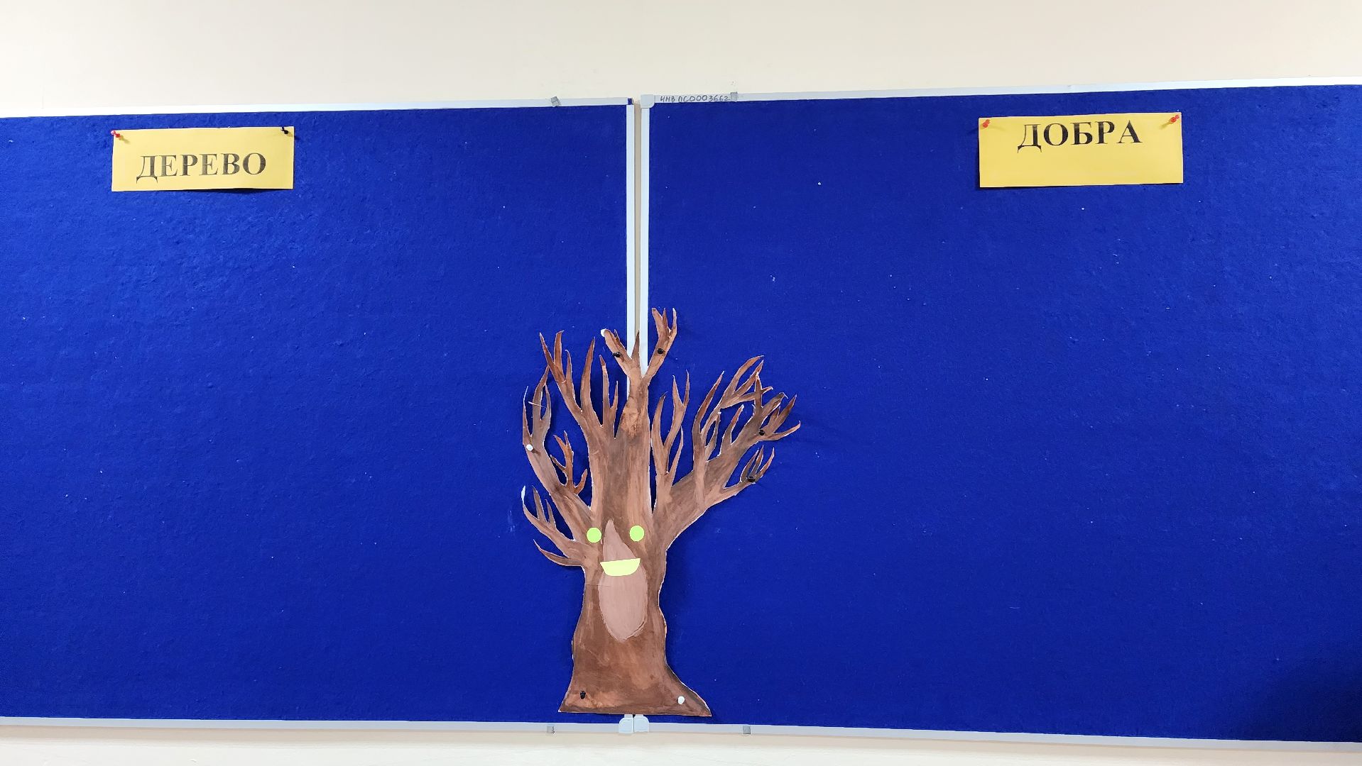 подмосковье, городской округ пушкинский, Ивантеевка, образование, День толерантности,