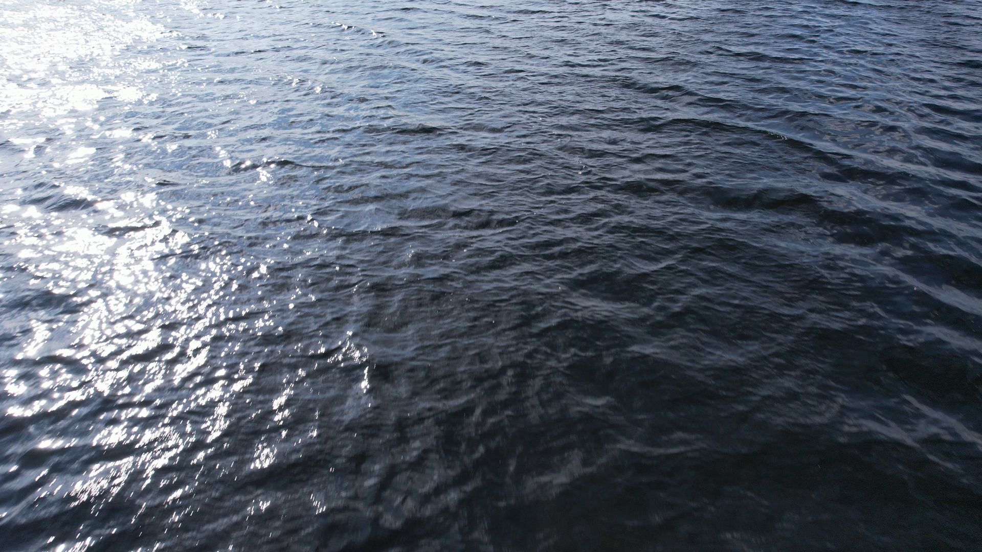 Фрязино, видео с коптера, озеро, пляж,