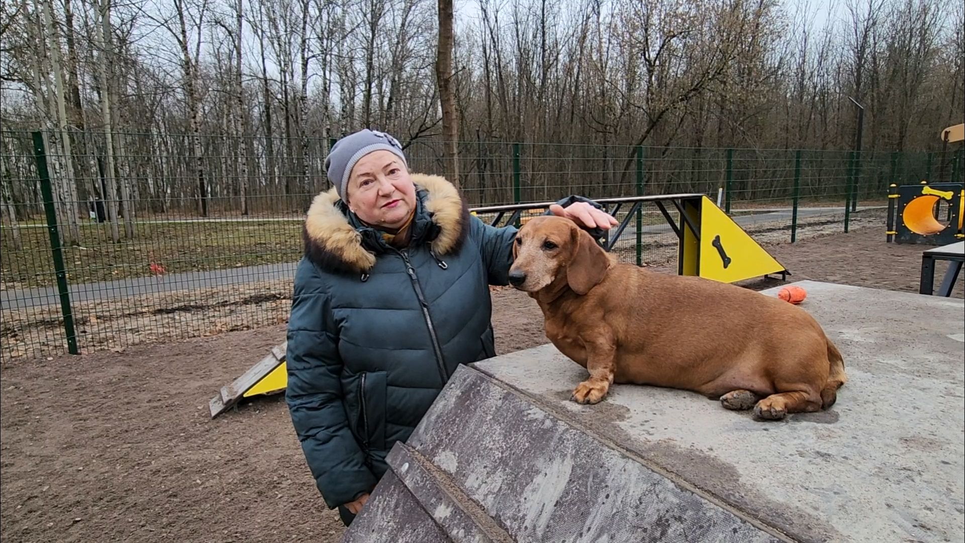 подольск, такса,