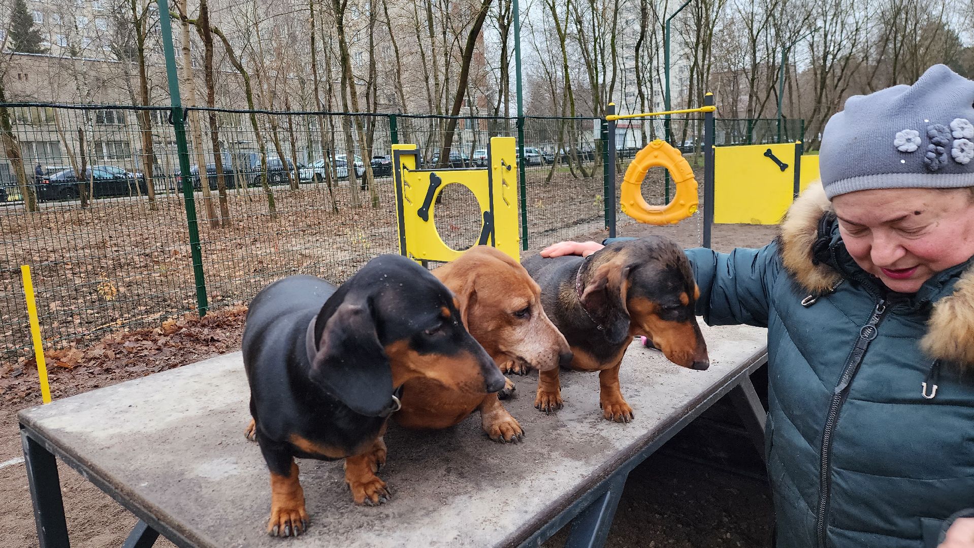 подольск, такса,