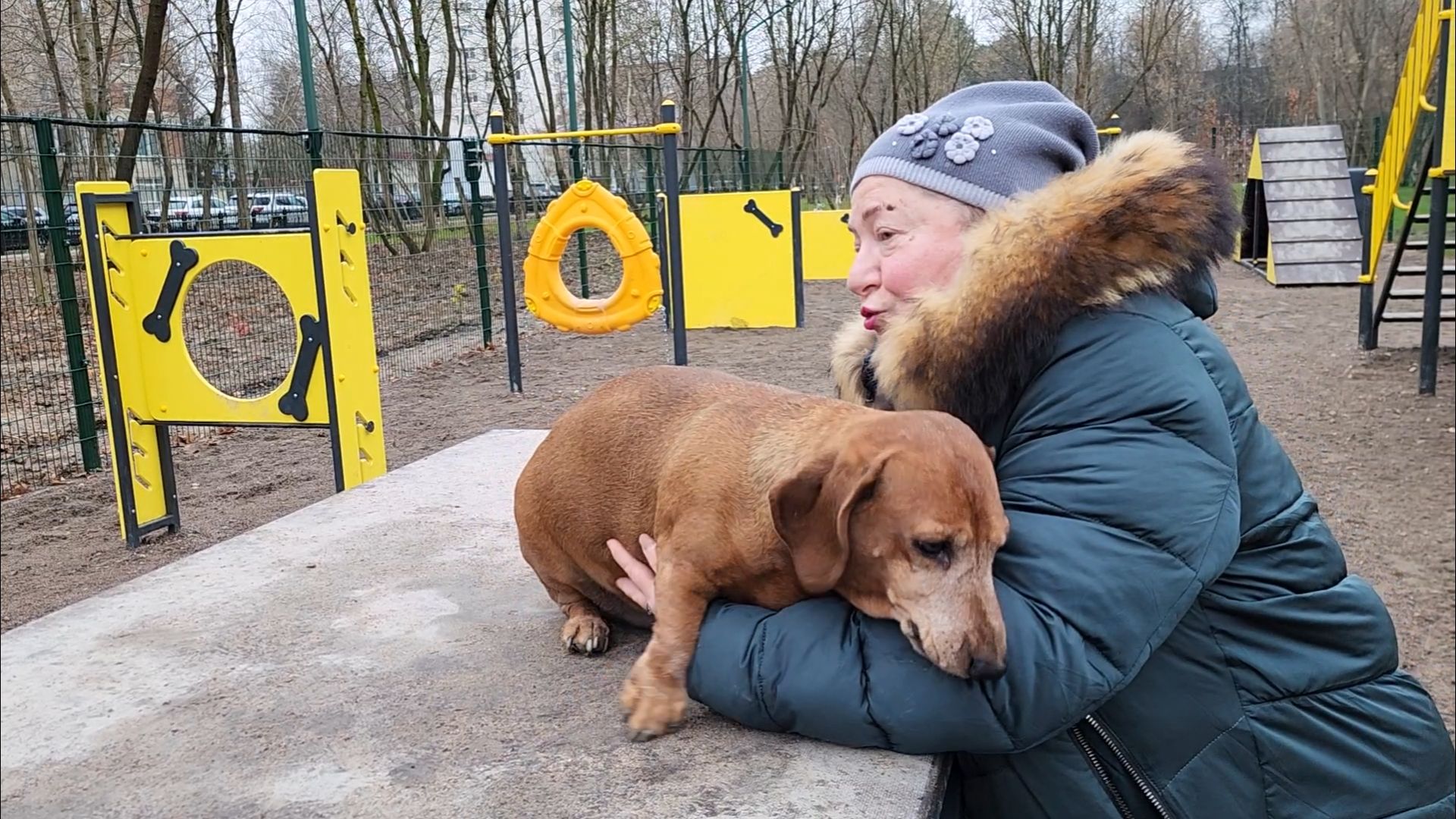 подольск, такса,