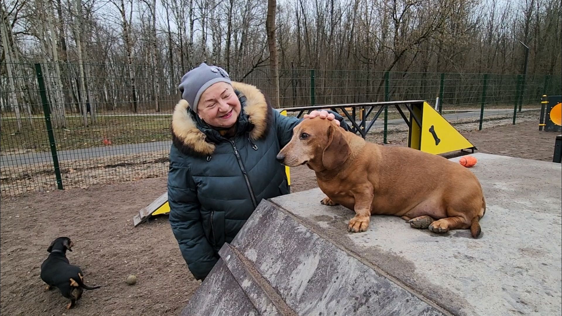 подольск, такса,