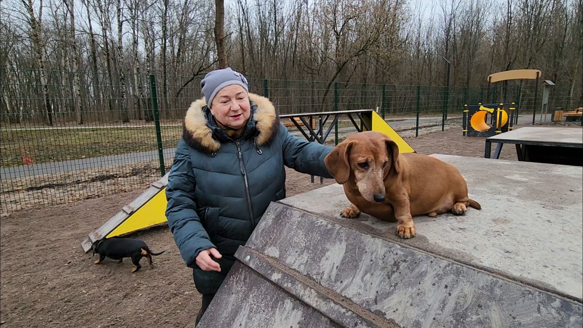 подольск, такса,