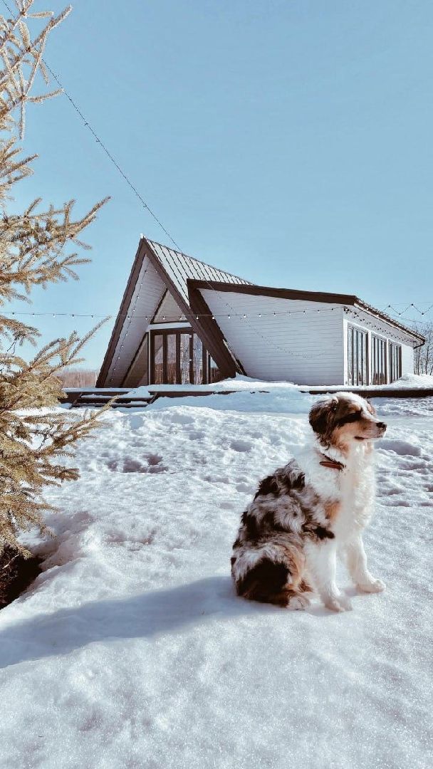 Дмитров, Туризм, Волен, Зооферма Шихово, Российские альпаки, Картодром Маяк, Целеево, Клуб Тягачева, Дмитровский кремль,