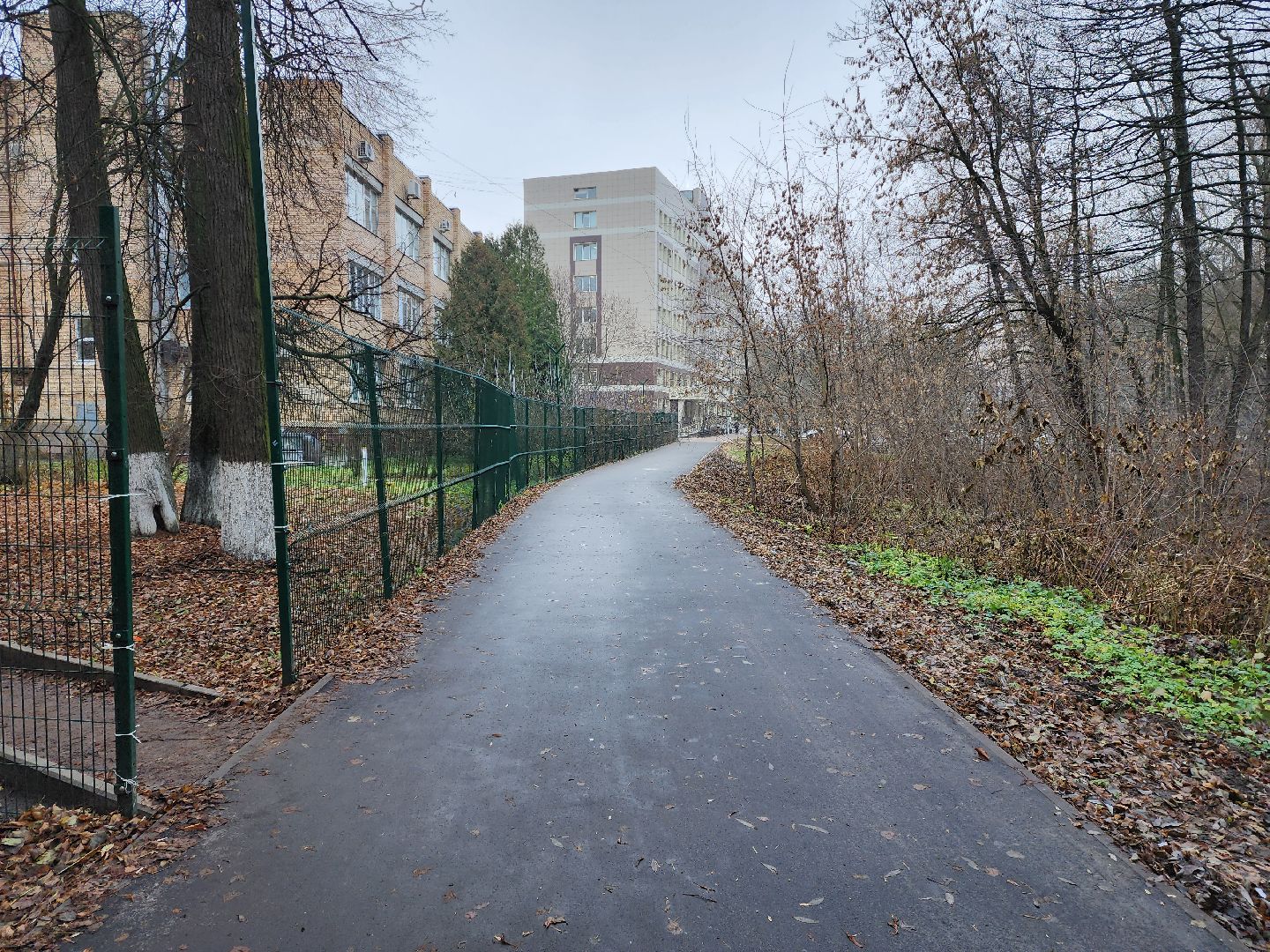 раменское, благоуйстройство, пешеходная дорога от Карла Маркса до Махова,