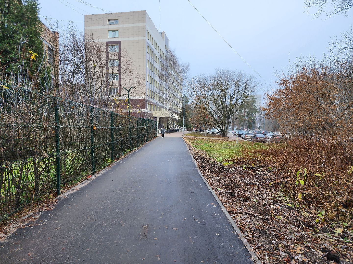 раменское, благоуйстройство, пешеходная дорога от Карла Маркса до Махова,