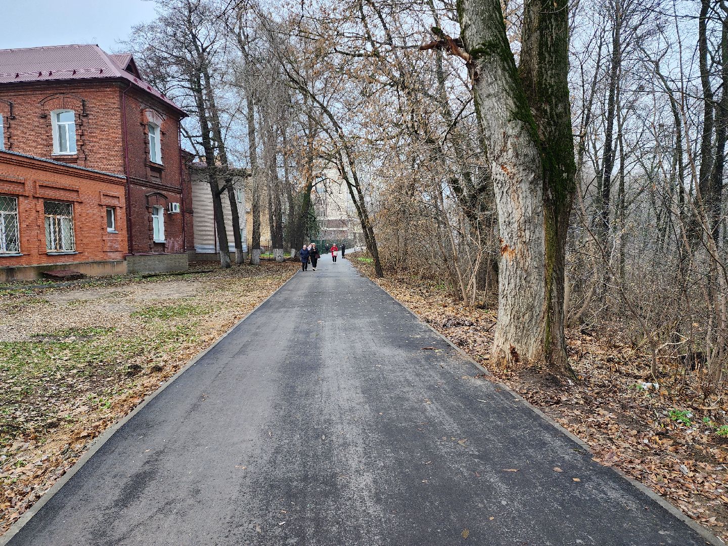 раменское, благоуйстройство, пешеходная дорога от Карла Маркса до Махова,