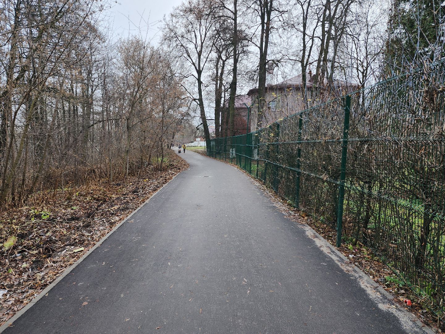 раменское, благоуйстройство, пешеходная дорога от Карла Маркса до Махова,