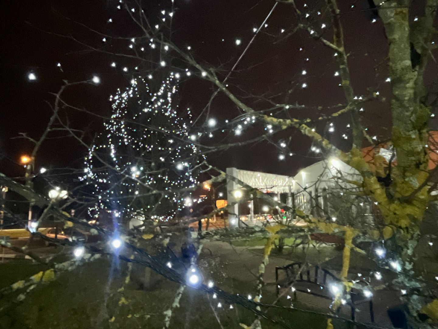 наро-фоминск, центральный парк наро-фоминска, парки подмосковья, день рождения Деда Мороза, Новый год, зима, новогодние украшения, коробка храбрости,