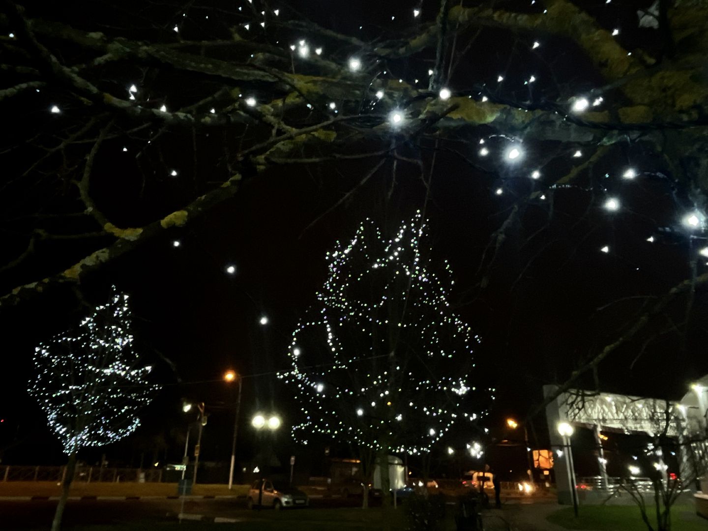наро-фоминск, центральный парк наро-фоминска, парки подмосковья, день рождения Деда Мороза, Новый год, зима, новогодние украшения, коробка храбрости,