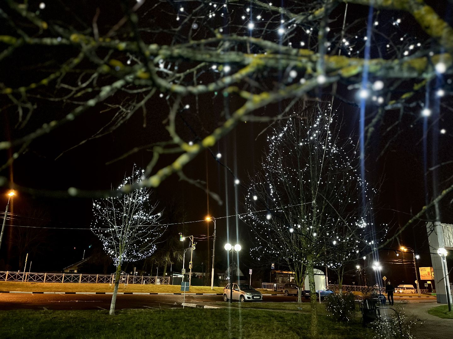 наро-фоминск, центральный парк наро-фоминска, парки подмосковья, день рождения Деда Мороза, Новый год, зима, новогодние украшения, коробка храбрости,