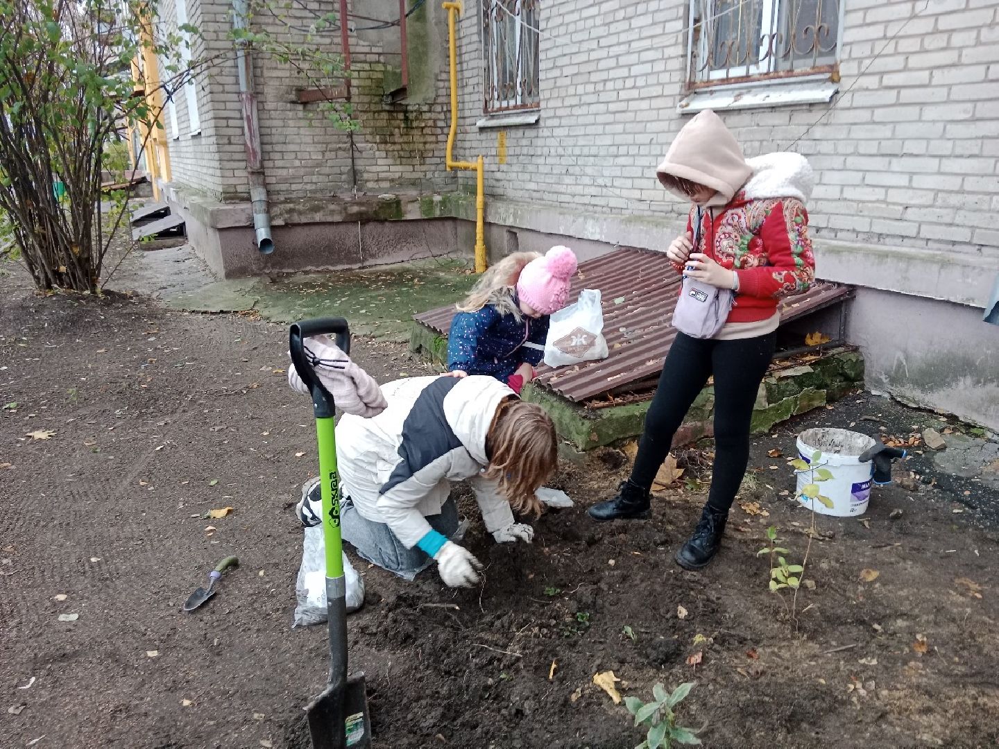 Город-Сад, палисадник, цветник, Пушкарева, Голосная, Вржесинская, Гроза, Булавина,