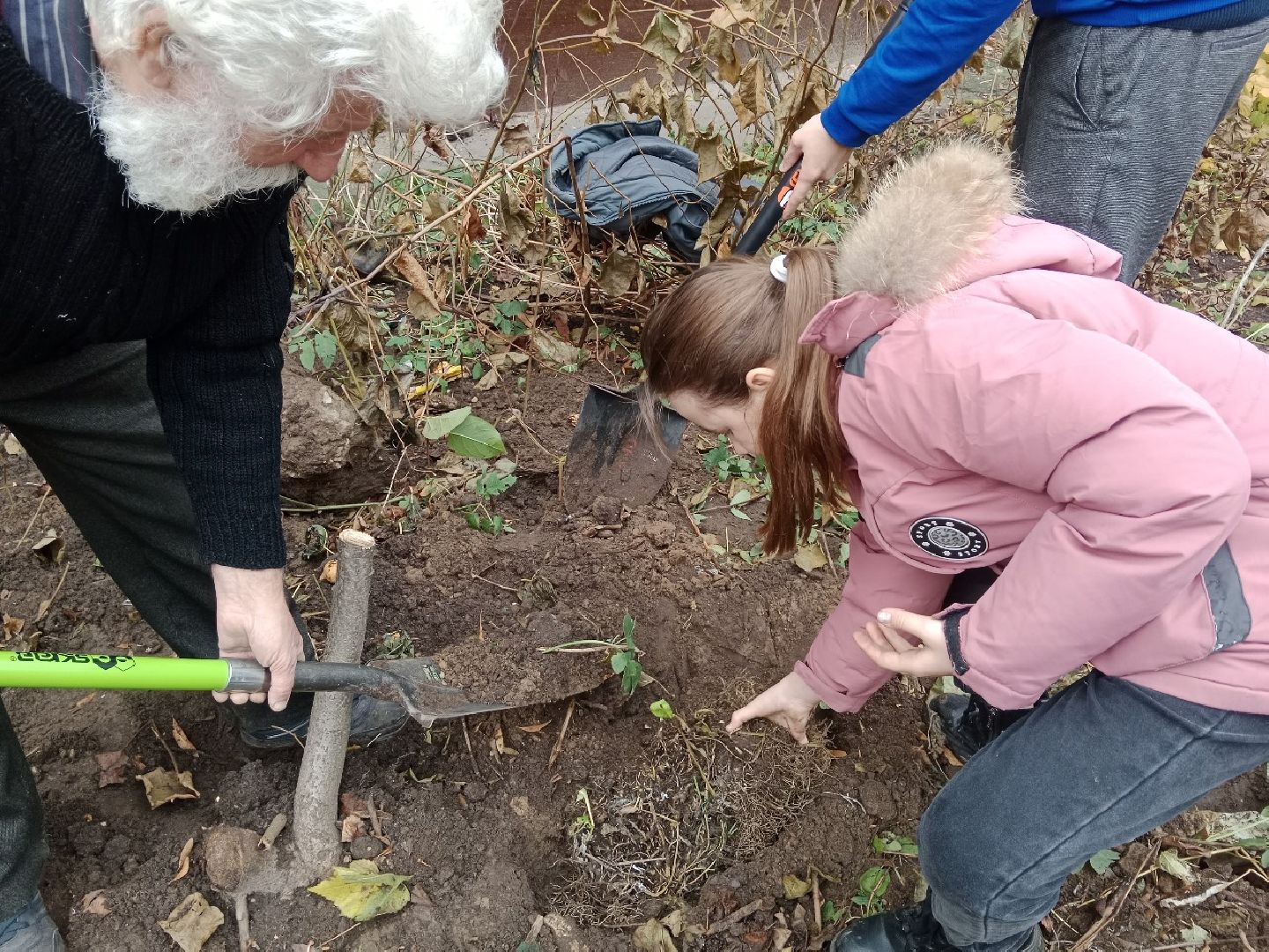 Город-Сад, палисадник, цветник, Пушкарева, Голосная, Вржесинская, Гроза, Булавина,