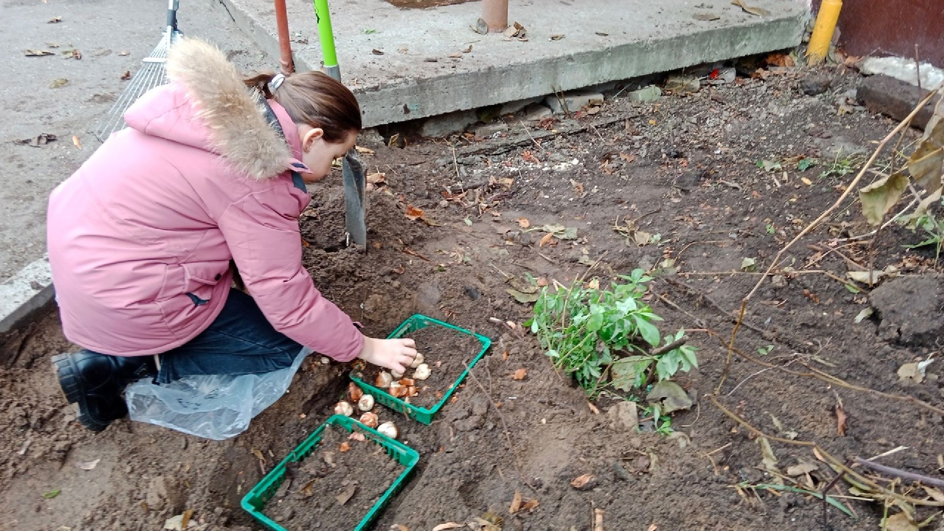 Город-Сад, палисадник, цветник, Пушкарева, Голосная, Вржесинская, Гроза, Булавина,