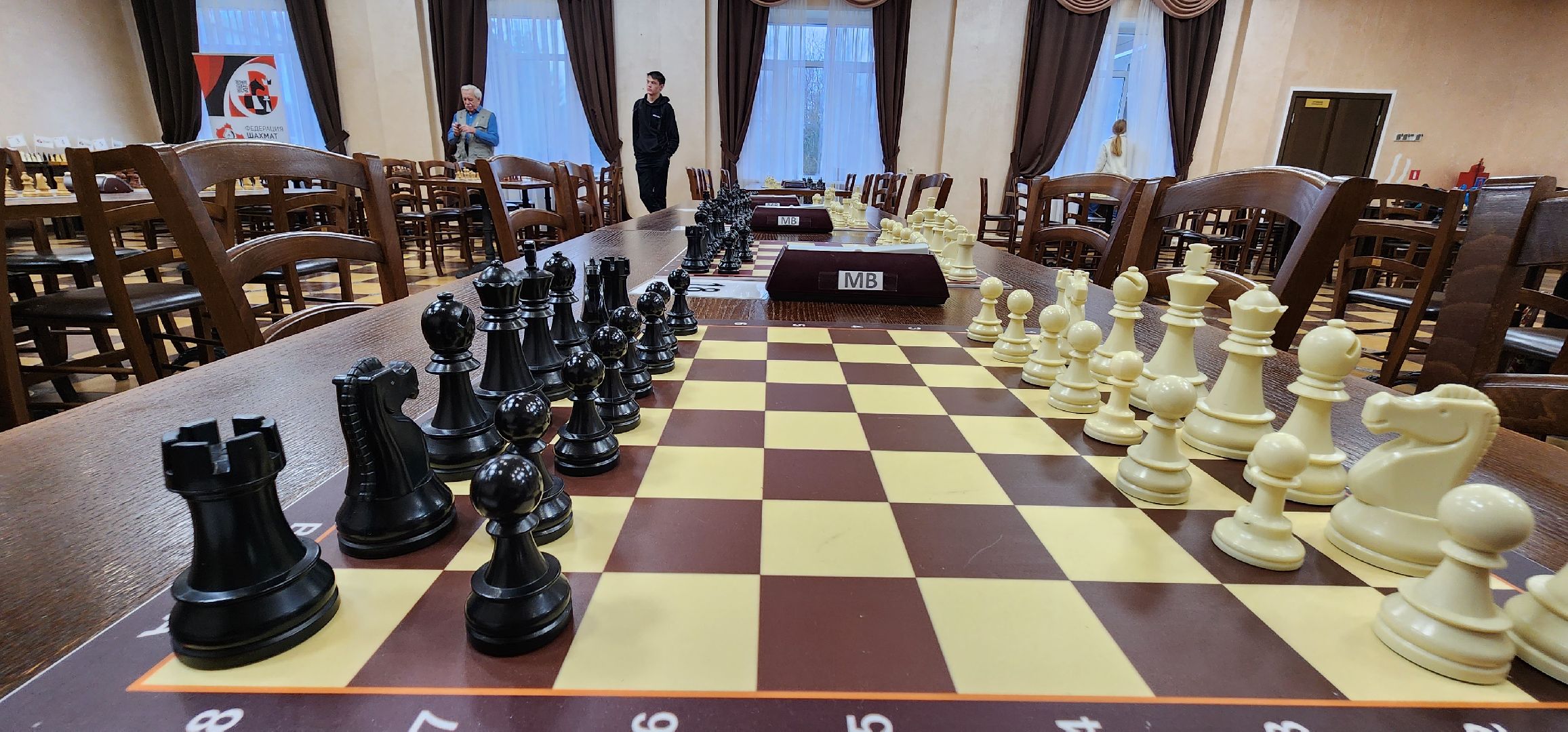 чемпионат по шахматам, Московская область, минспорт, белая ладья, Домодедово,