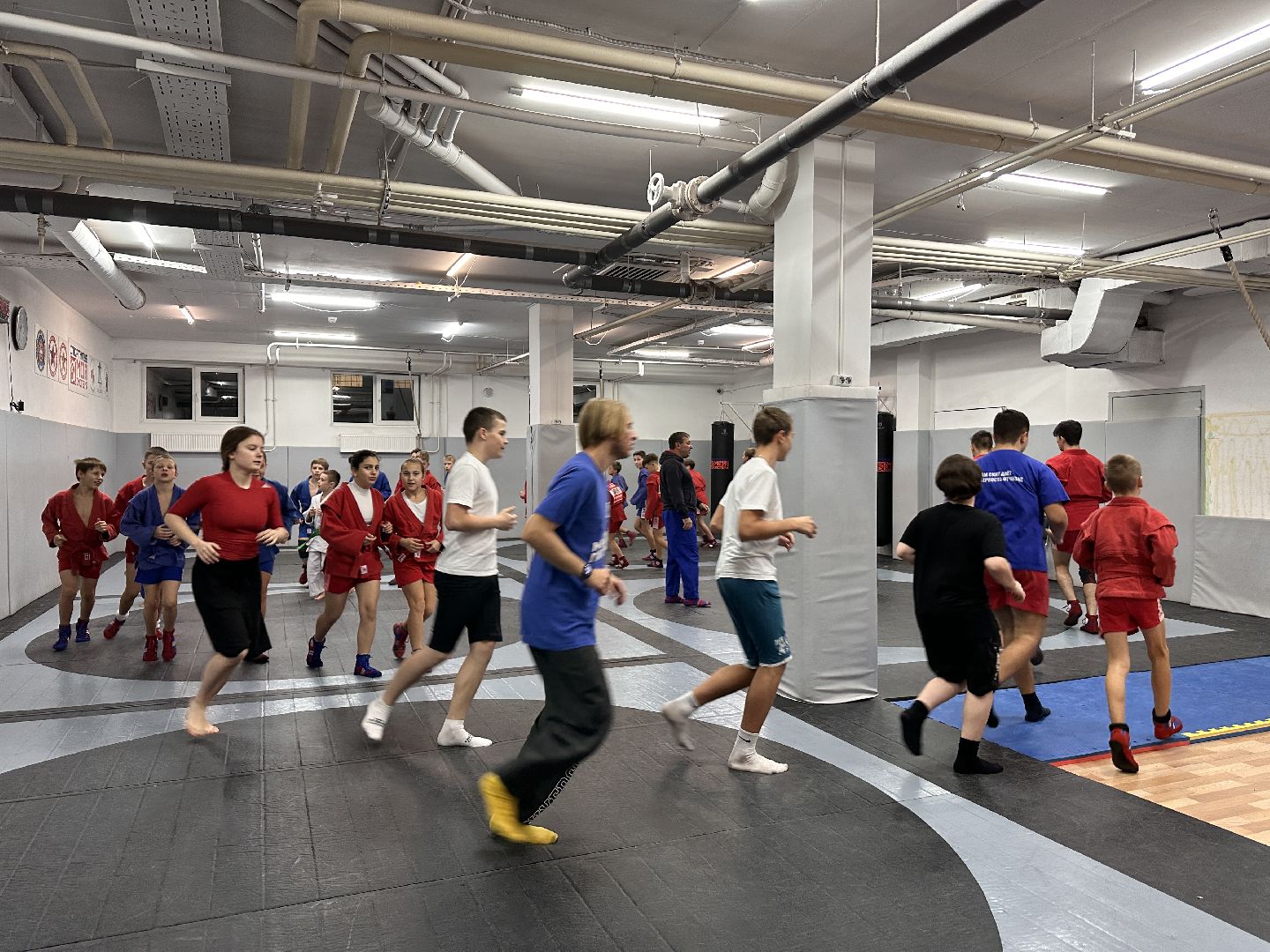 Одинцово, Молодая Гвардия, Единая Россия, самбо,